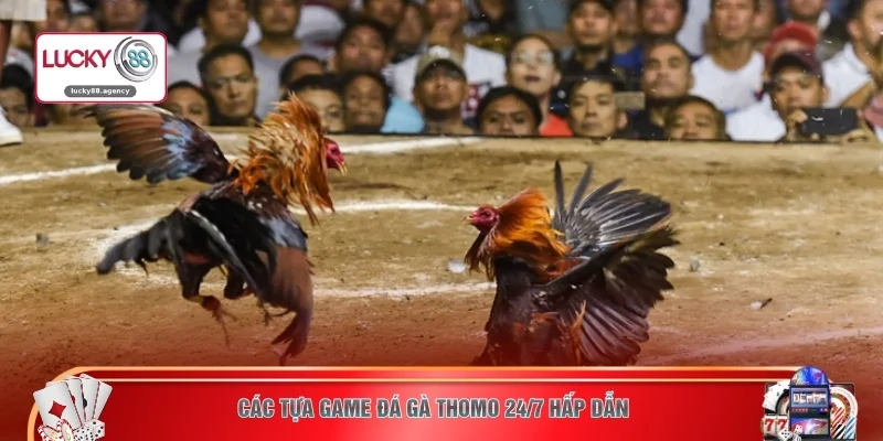 Các tựa game đá gà Thomo 24/7 hấp dẫn 