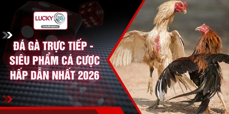 Đá Gà Trực Tiếp - Siêu Phẩm Cá Cược Hấp Dẫn Nhất 2026 