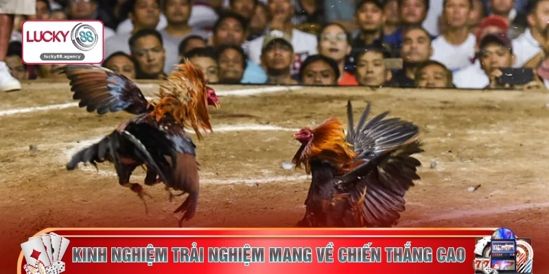 Kinh nghiệm trải nghiệm mang về chiến thắng cao 