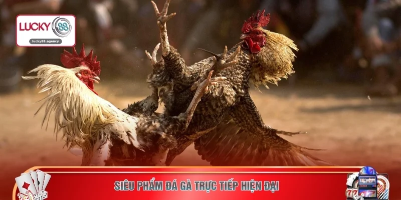 Siêu phẩm đá gà trực tiếp hiện đại 